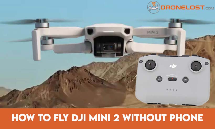 how to fly dji mini 2 without phone