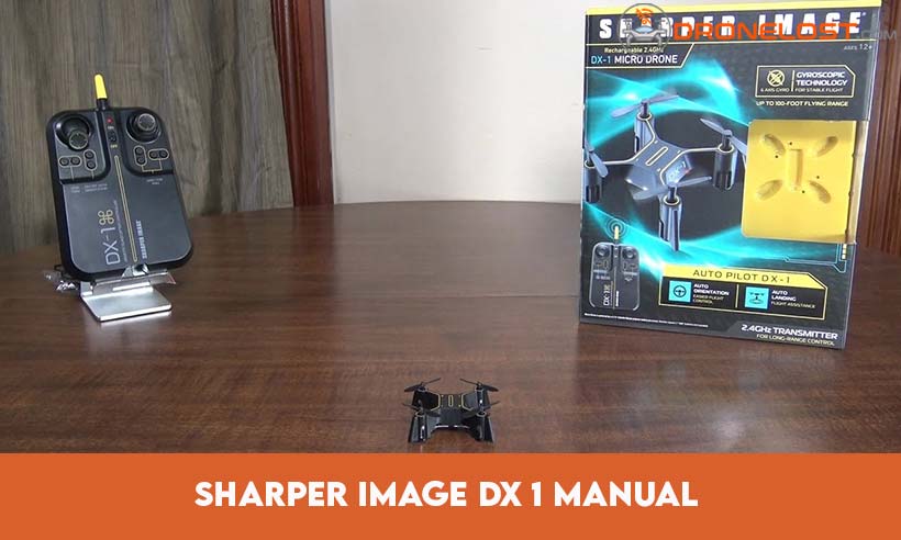 Sharper Image DX 1 Manual